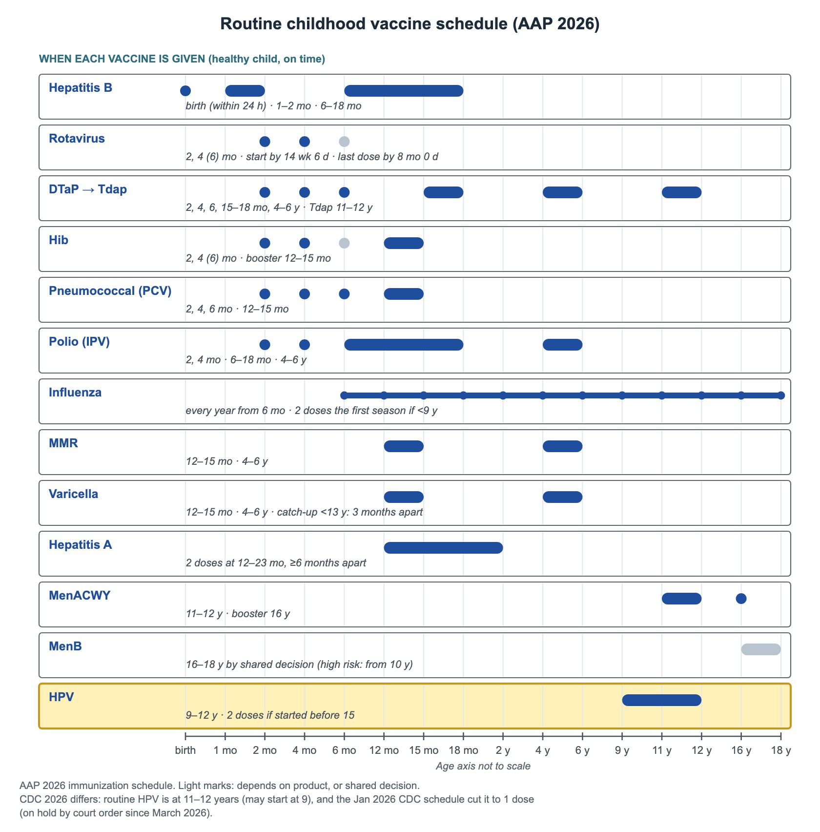 Decision tree: Routine childhood vaccine schedule (AAP 2026) — schedule graph