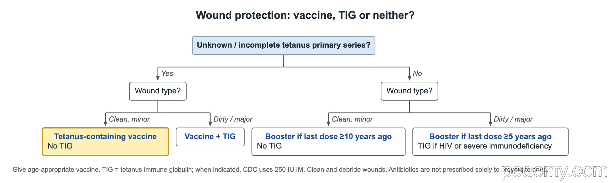 Decision tree: Wound protection: vaccine, TIG or neither?